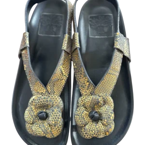 Chaussure Padam Édition Limitée Bleu Doré