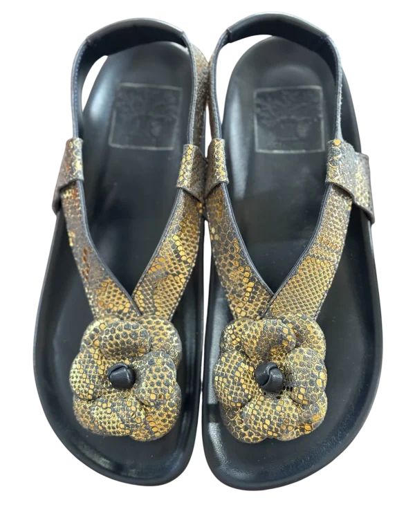 Chaussure Padam Édition Limitée Bleu Doré