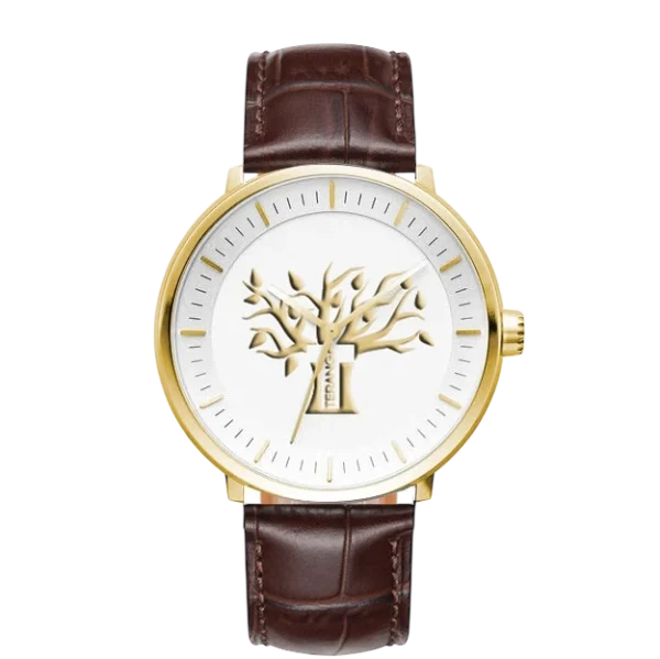 Montre Homme Collection Harmonie – Lumi